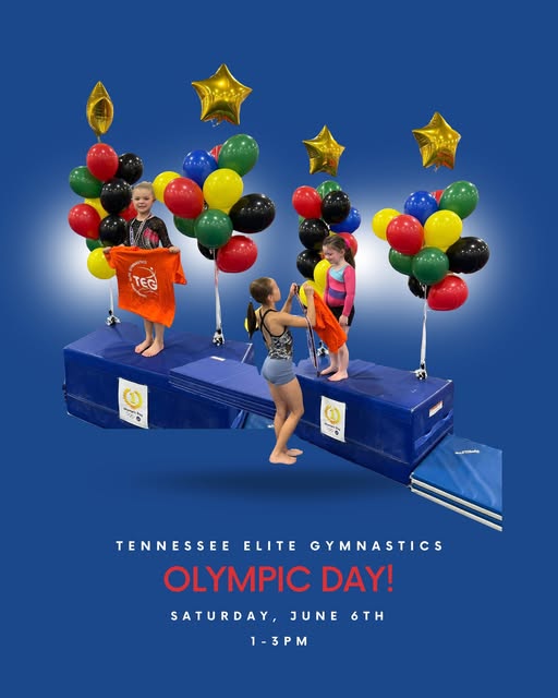 Annual TEG Olympic Day!